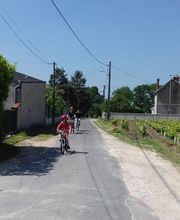 Vignoble Tévenot image 9