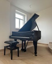 Berliner Klaviertransport Bild 7