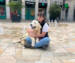Dog & Picture image 13