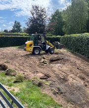 Haus-&Gartenservice Rose Bild 19
