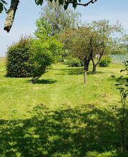 Ted Multiservices image 10