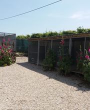 Cani Services image 20