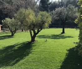 Exo Jardins SARL image 6