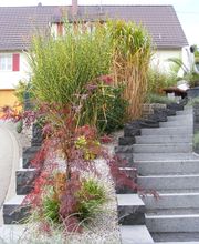 Gärten und Mehr Norbert Müller Gärtnermeister Bild 3