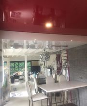 Robert Steve image 1