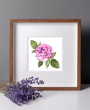 Bioartsense Aquarelle Bild 3