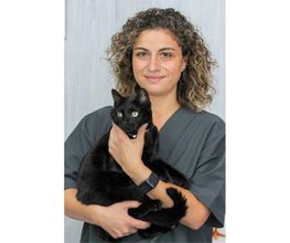 Veterinario Alcorcón imagen 8