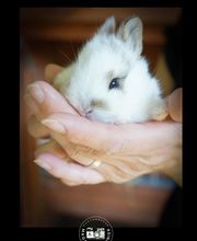 Môm Bien'Naître image 4