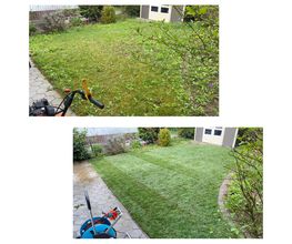 Gartenservice Mark Miess Bild 32