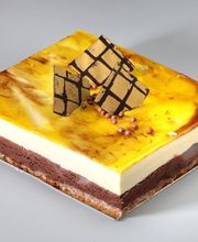 Fournier Aurélien image 6