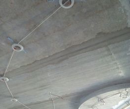 219404688-1-zqDcBHKp761532046244679.jpeg