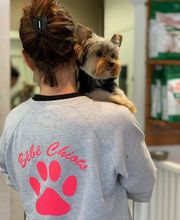 BEBE-CHIOTS image 2