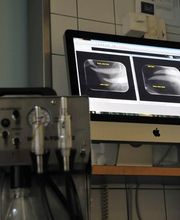 Tierarztpraxis Rohner AG Bild 7