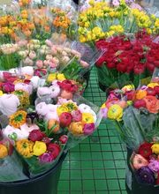 Decoflora GmbH Bild 10