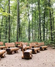 FriedWald Wiesenbach Bild 7