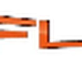 Go Flex 22 image 8