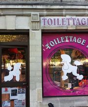 Toilettage 14 image 4