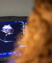 Best Care Pet Hospital image 12