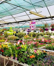 Pépinières Bourquin image 6