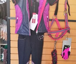 Zeisse Lädche', Reitsport Bild 14