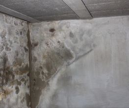 Sachverständiger Luciano Luongo Bild 1