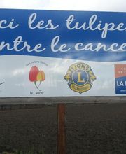 Dôme Signalétiques image 15