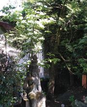 Jp3 image 4