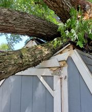 Whitledge Tree Service LLC image 3