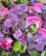 Marie Paolini image 13