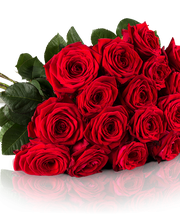 Blumenhaus Wiedikon Bild 2