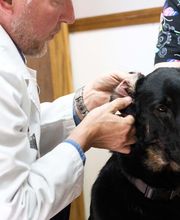 Three Trails Animal Hospital image 13