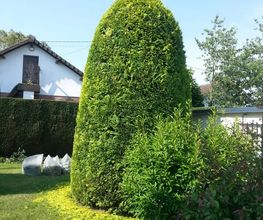 Les Mains Vertes Services image 1
