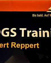 DOGS Training Bild 16