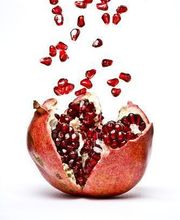 Alan Pauline image 5