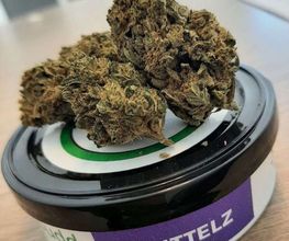 GREEN BUDD CBD PORNIC image 10