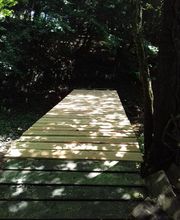 Line Au Carre image 3