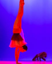 Véronique Danse image 1