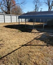 Pet Paradise image 3