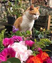 L'Atelier Vert image 10