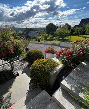 Schneider Gartengestaltung AG Bild 12