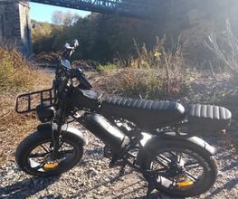 LM FatBikes image 9