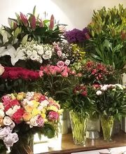 Autrement Dit image 13