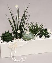 Gartencenter A-Z Velbert GmbH Bild 9