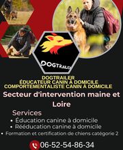Dogtrailer Educateur Comportementaliste Canin image 6