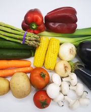 MES FRESC QUE MAI S.L. imagen 7