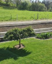 Kramer Gartenbau Bild 4