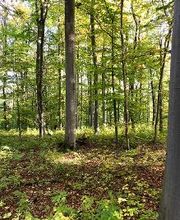 FriedWald Bad Berka Bild 8