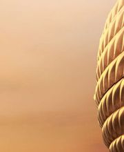 Allianz Hauptvertretung Ines Zieprich Bild 1