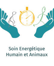 François Annequin L'Etre A L'Endroit - Géobiologie image 4