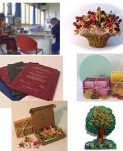 Gallery Cliente